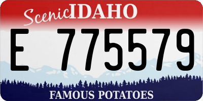 ID license plate E775579