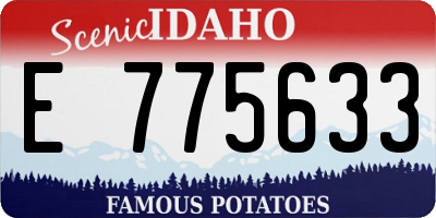 ID license plate E775633