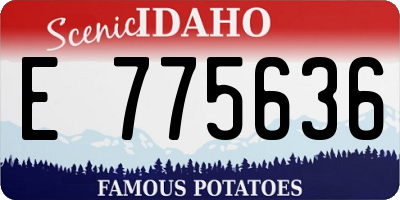 ID license plate E775636