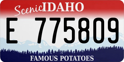 ID license plate E775809