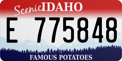 ID license plate E775848