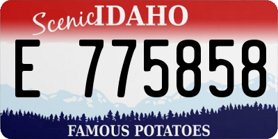 ID license plate E775858