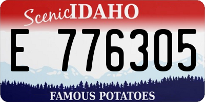 ID license plate E776305
