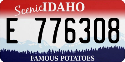 ID license plate E776308