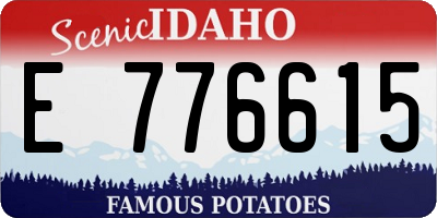 ID license plate E776615