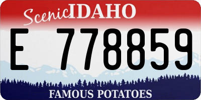ID license plate E778859