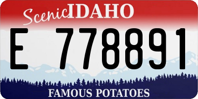 ID license plate E778891