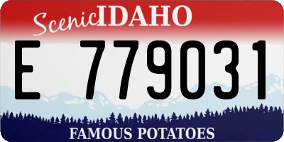 ID license plate E779031