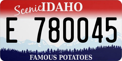 ID license plate E780045