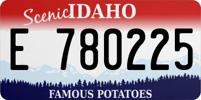 ID license plate E780225
