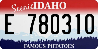 ID license plate E780310