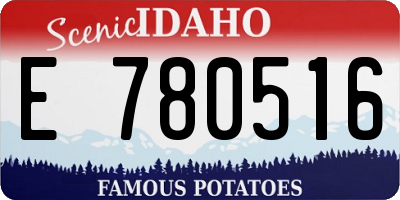 ID license plate E780516
