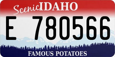 ID license plate E780566