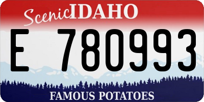 ID license plate E780993