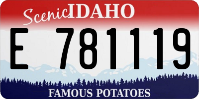 ID license plate E781119