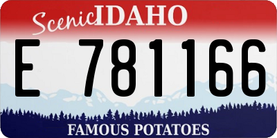 ID license plate E781166