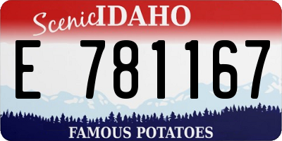 ID license plate E781167