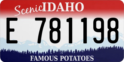ID license plate E781198