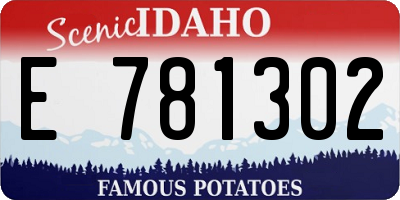 ID license plate E781302