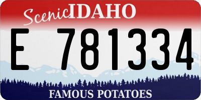ID license plate E781334