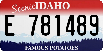 ID license plate E781489