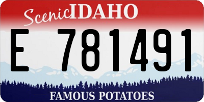 ID license plate E781491