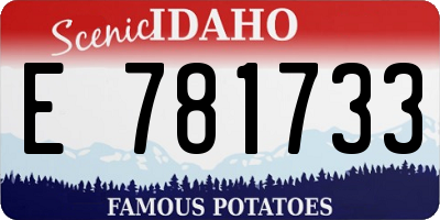 ID license plate E781733