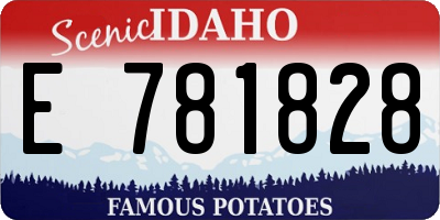 ID license plate E781828