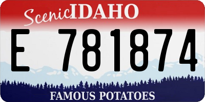 ID license plate E781874