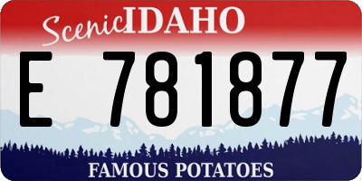 ID license plate E781877