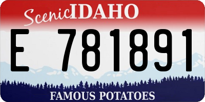 ID license plate E781891