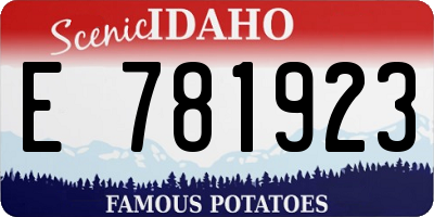 ID license plate E781923