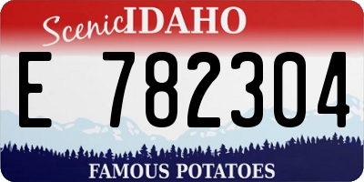 ID license plate E782304