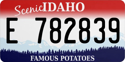 ID license plate E782839