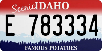 ID license plate E783334