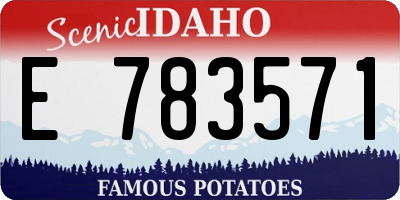 ID license plate E783571