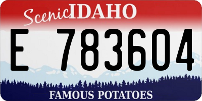 ID license plate E783604