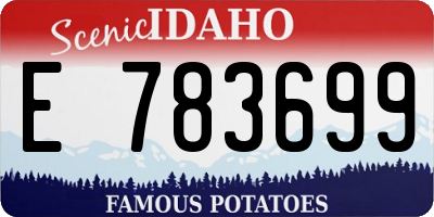 ID license plate E783699