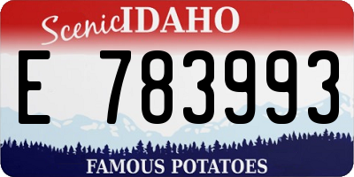 ID license plate E783993