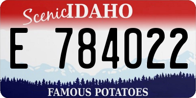 ID license plate E784022