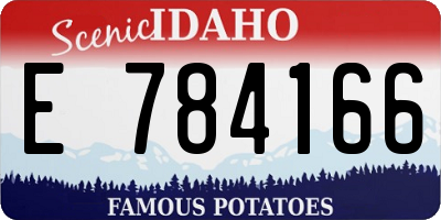 ID license plate E784166