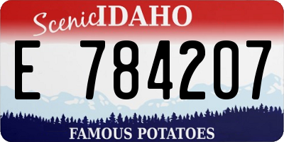 ID license plate E784207