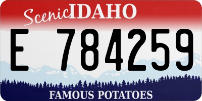 ID license plate E784259