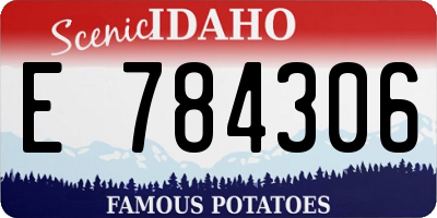 ID license plate E784306