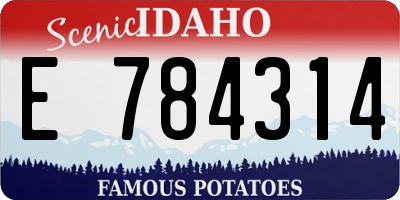 ID license plate E784314
