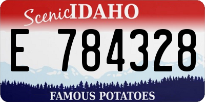 ID license plate E784328