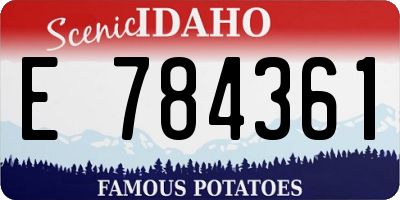 ID license plate E784361