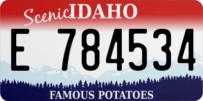 ID license plate E784534