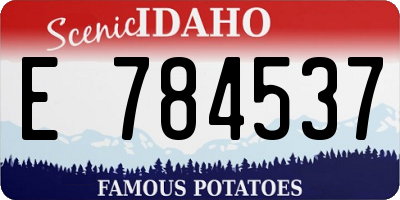 ID license plate E784537