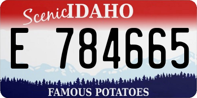 ID license plate E784665